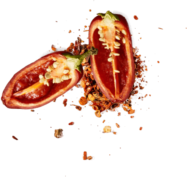 Color Callout Style 2 Block1