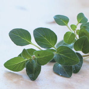 Copy Block with image on left side1